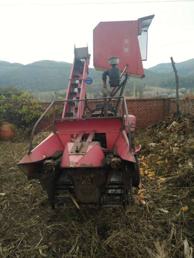 百佳超市有健身手套吗_健身手套哪里有卖_健身手套去哪里买