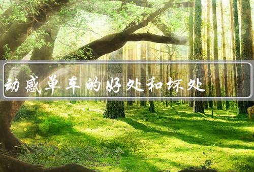 kaiyun下载app下载安装手机版 动感单车的好处和坏处，锻炼效果显著／燃烧卡路里／随时随地锻炼