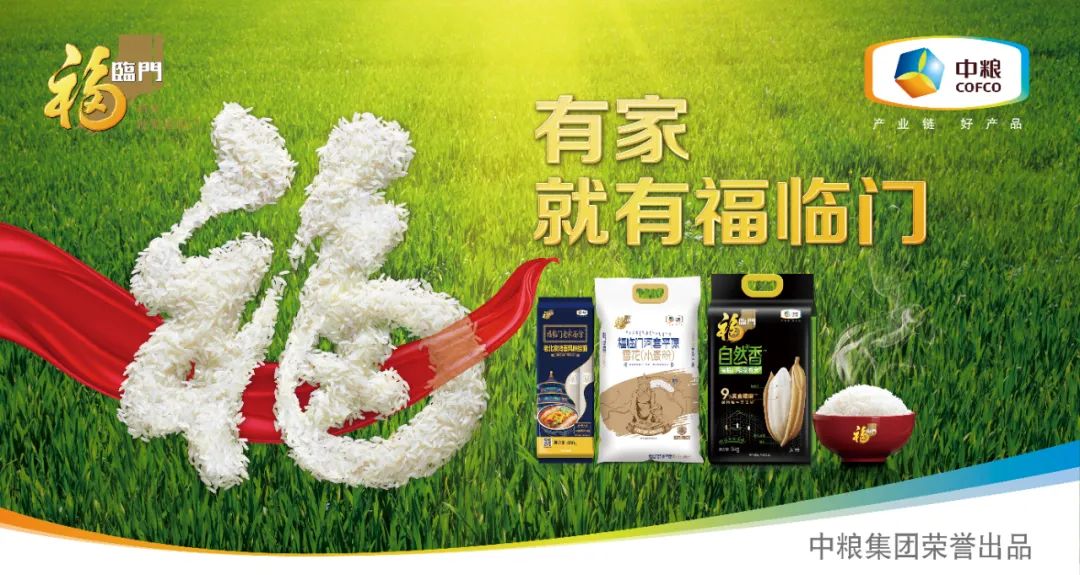 综合力量训练器品牌_力量训练器械使用方法_力量训练器械品牌