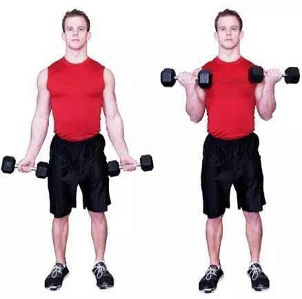 健身瑜伽垫_瑜伽健身垫什么材质好_瑜伽健身垫哪个牌子好