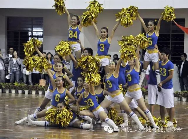 kaiyun体育登录网页入口 关于举办2016年青海省健美操国家一级和国家二级 裁判员培训班的通知