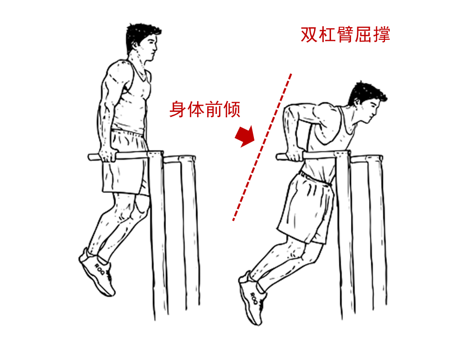 女性能不能练下胸_如果练下胸_女性能练下胸吗