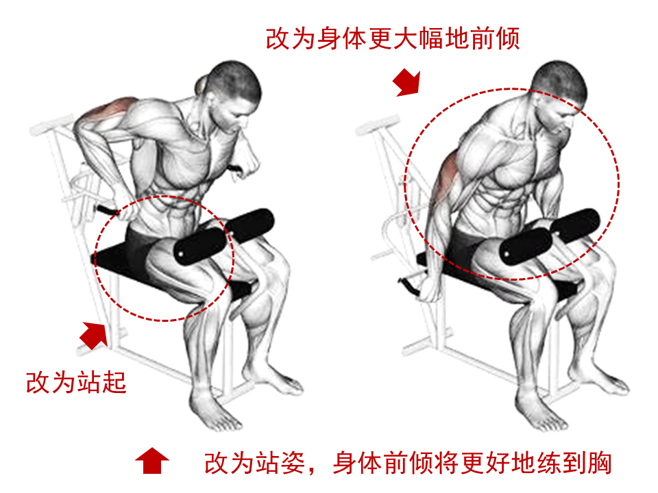 女性能不能练下胸_如果练下胸_女性能练下胸吗