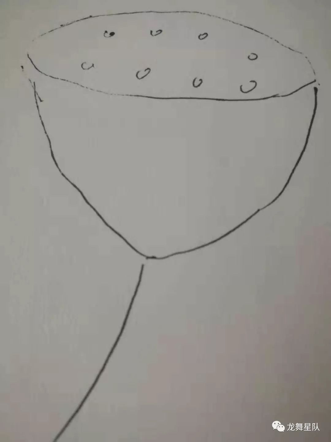 糖豆广场舞莲的心事背面_莲的心事广场舞视频_视频心事广场莲舞32步