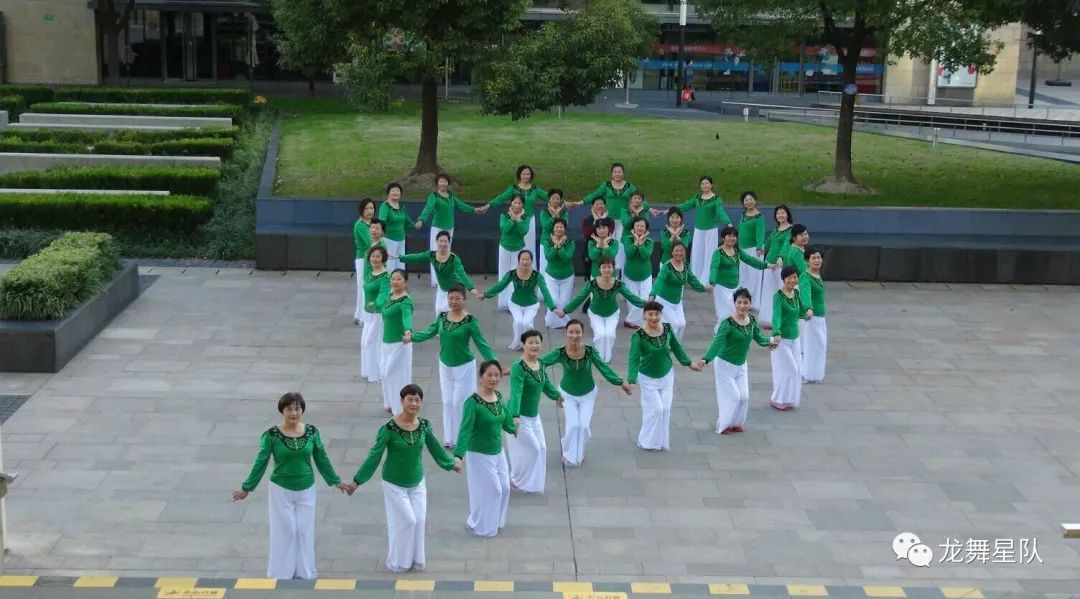 莲的心事广场舞视频_视频心事广场莲舞32步_糖豆广场舞莲的心事背面