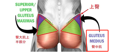 pg电子娱乐平台 性能力专项健身训练指南