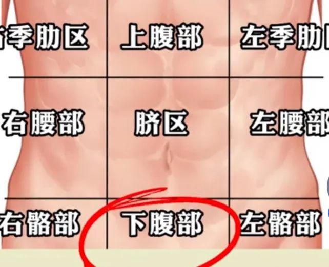 手套健身推荐品牌排行榜_健身手套品牌 推荐_健身手套牌子