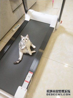 飞健f2跑步机首次优缺点曝光,质量真相如何,不看后悔?(图3)