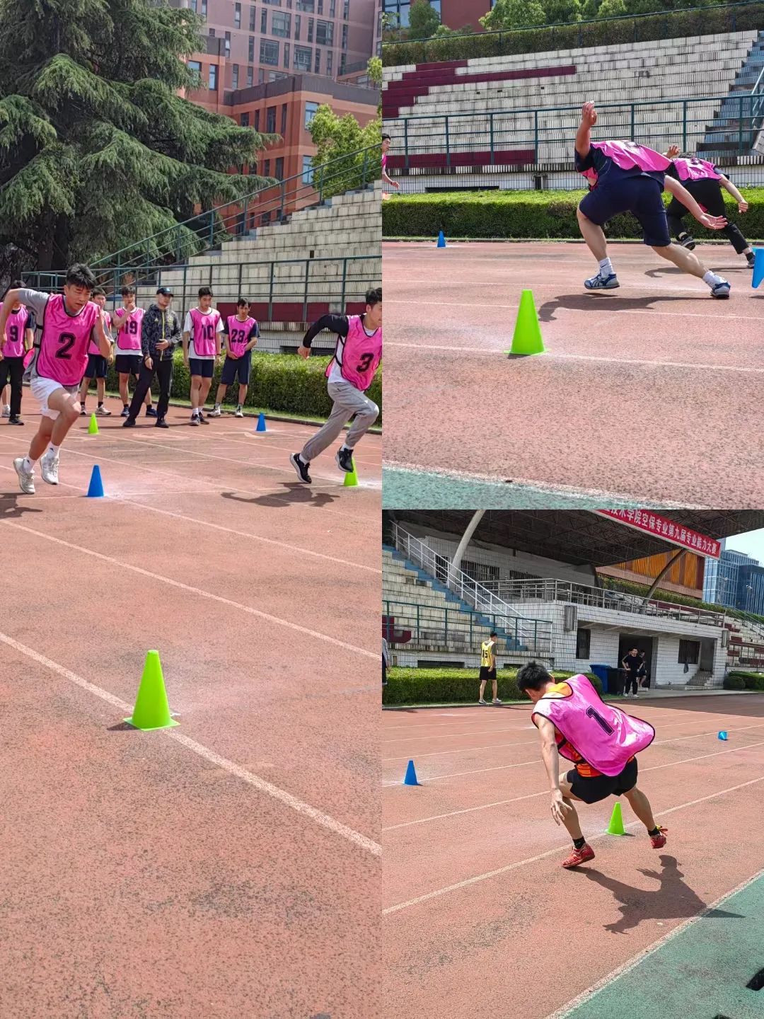 2024综合训练器品牌_综合训练器组装视频_综合训练器品牌排行