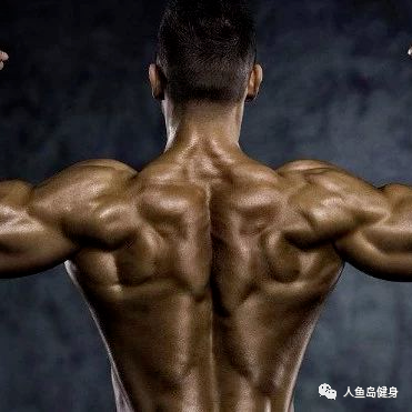 手套健身护腕图片_健身手套护腕什么牌子好_健身护腕手套