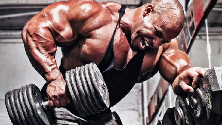 适合自然健美的训练法则_健美训练的基本发力技术_健美训练的核心法则是什么