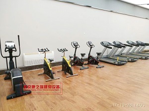 pg棋牌 全世界前十名高档家用跑步机品质排行