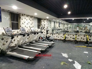 跑步机什么牌子好家用跑步机质量排名_跑步机品牌排名_高级家庭用跑步机推荐