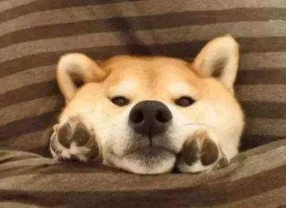 左侧睡觉能感觉到心跳_最佳睡姿选择_睡姿对器官影响