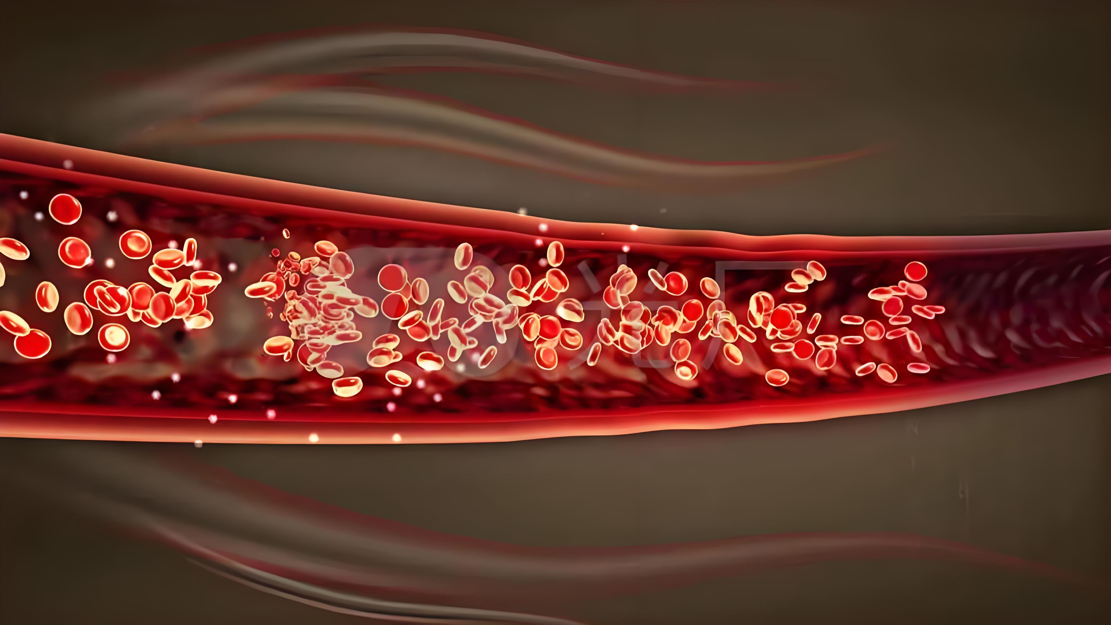 跑步时心率过快好吗?_老年人静息心率_心率与长寿