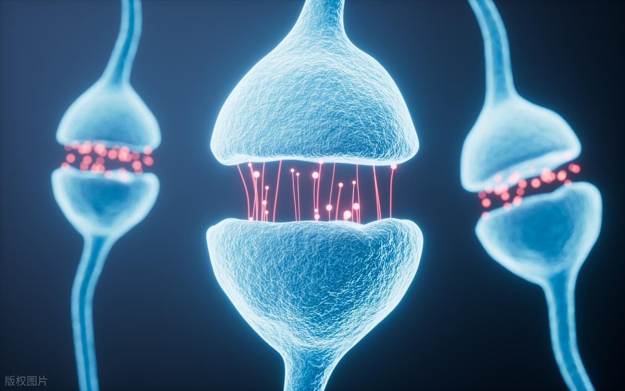 力量训练后肌肉疼_跑步腰痛_单一模式运动损伤