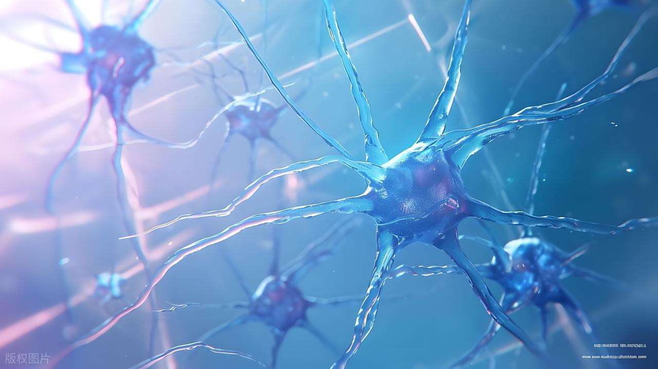 跑步腰痛_单一模式运动损伤_力量训练后肌肉疼