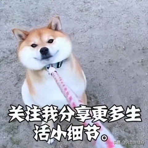 健身护腕有什么用_护腕护肘护膝腰带深蹲鞋硬拉护掌_健身补剂外用护具