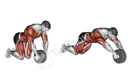 腹肌轮训练动作变式_腹肌轮在家锻炼_腹肌轮几个轮的好