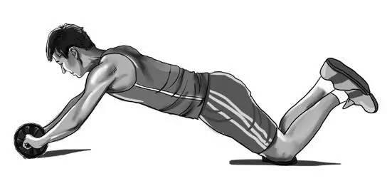 腹肌轮几个轮的好_腹肌轮在家锻炼_腹肌轮训练动作变式