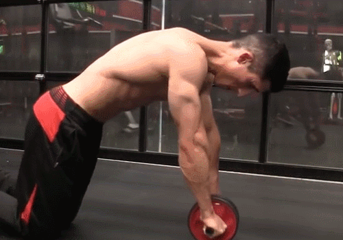 腹肌轮几个轮的好_每天做50个健腹轮一个月能出腹肌吗_健腹轮训练方法