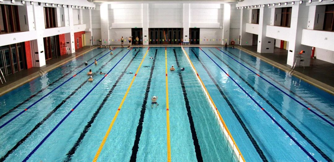 龙门综合训练器_什么是龙门式机器人_龙门练胸标准动作图解