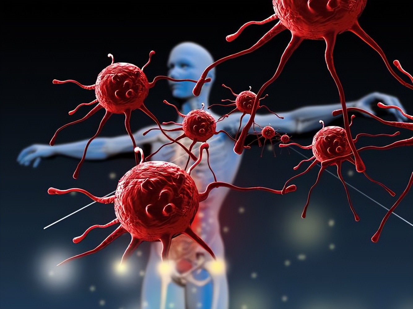 跑步时心率过快好吗?_跑步过量危害_适量跑步健康益处