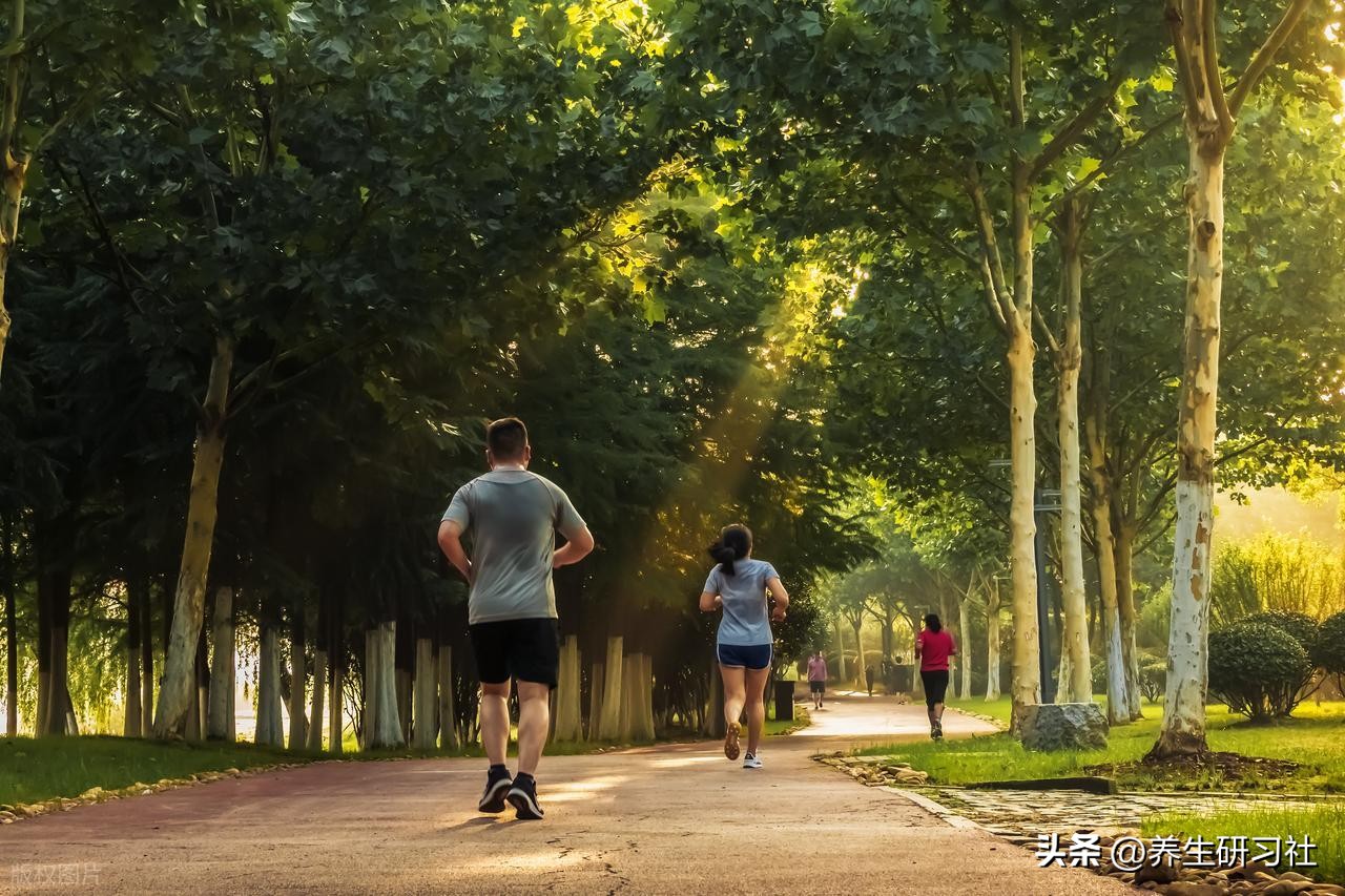 慢跑心率控制延寿_慢跑延寿细节研究_跑步时心率过快好吗?