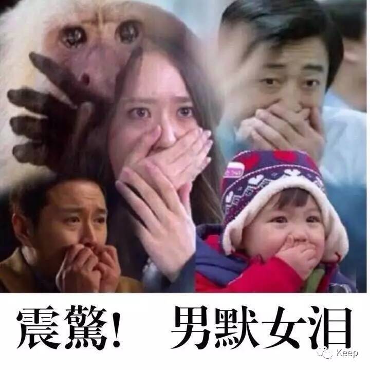 健腹轮正确用法_健腹轮练腹技巧_腹肌轮几个轮的好