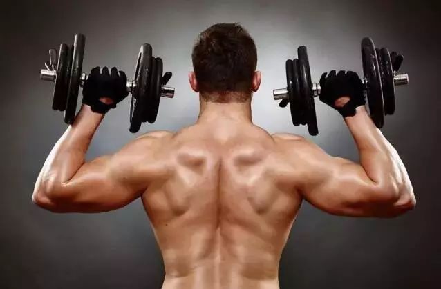 健身手套新鲁鹰_健身手套作用_防滑健身手套推荐