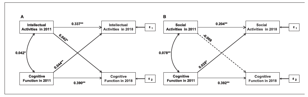 人的大脑保持时间感_如何优雅老去_社交活动延缓认知退化