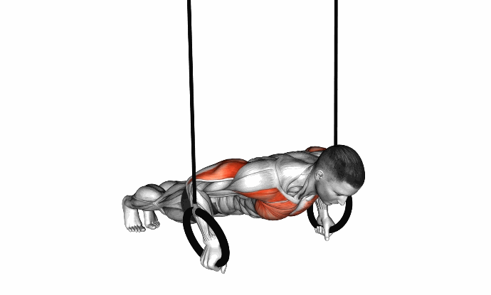 上胸的锻炼_宽距窄距俯卧撑训练_上胸部俯卧撑变式