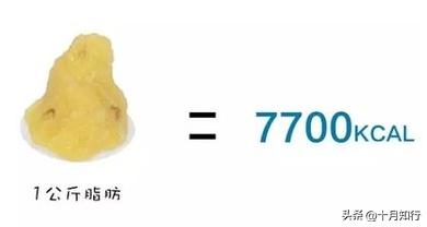 减脂速度_运动多久后开始掉体重_减掉1公斤脂肪需要多久