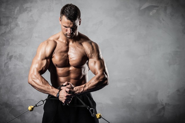 综合训练器锻炼指南_臂力器锻炼肌肉3d图解_综合训练器锻炼图解