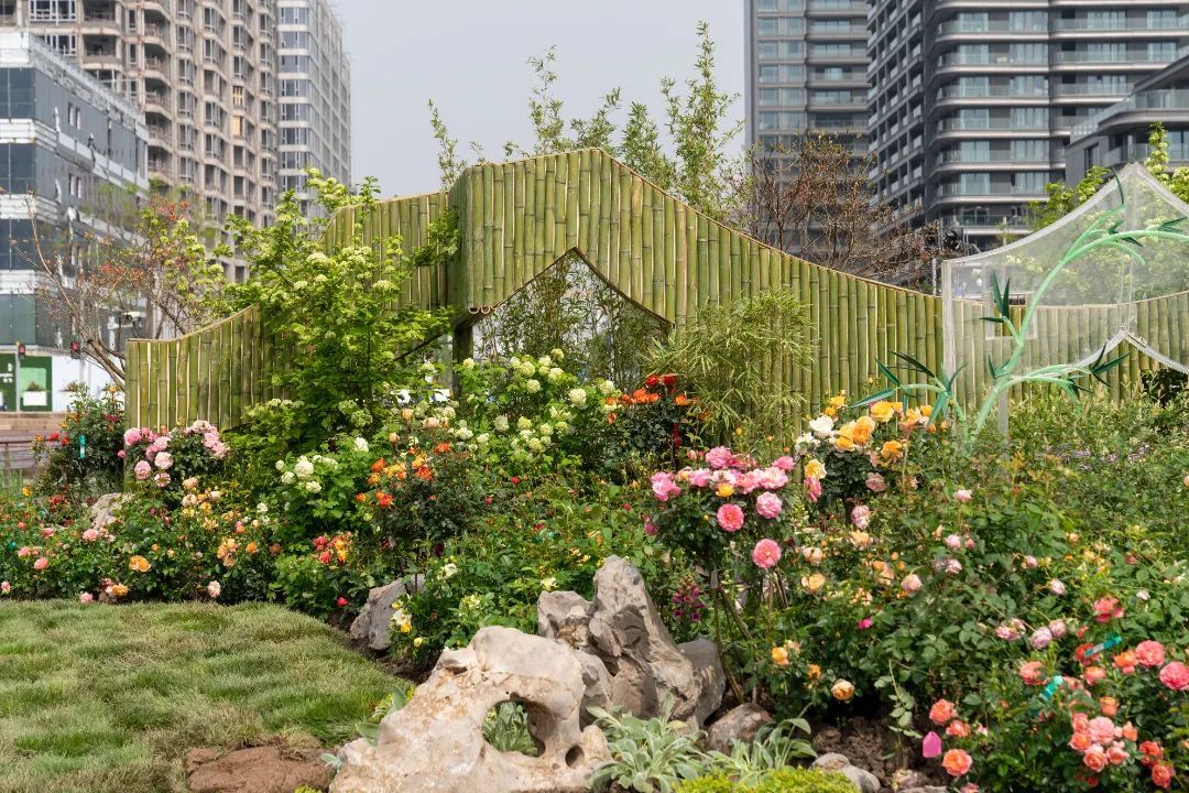 上海园博会在哪儿_上海园博会_上海园博会2010