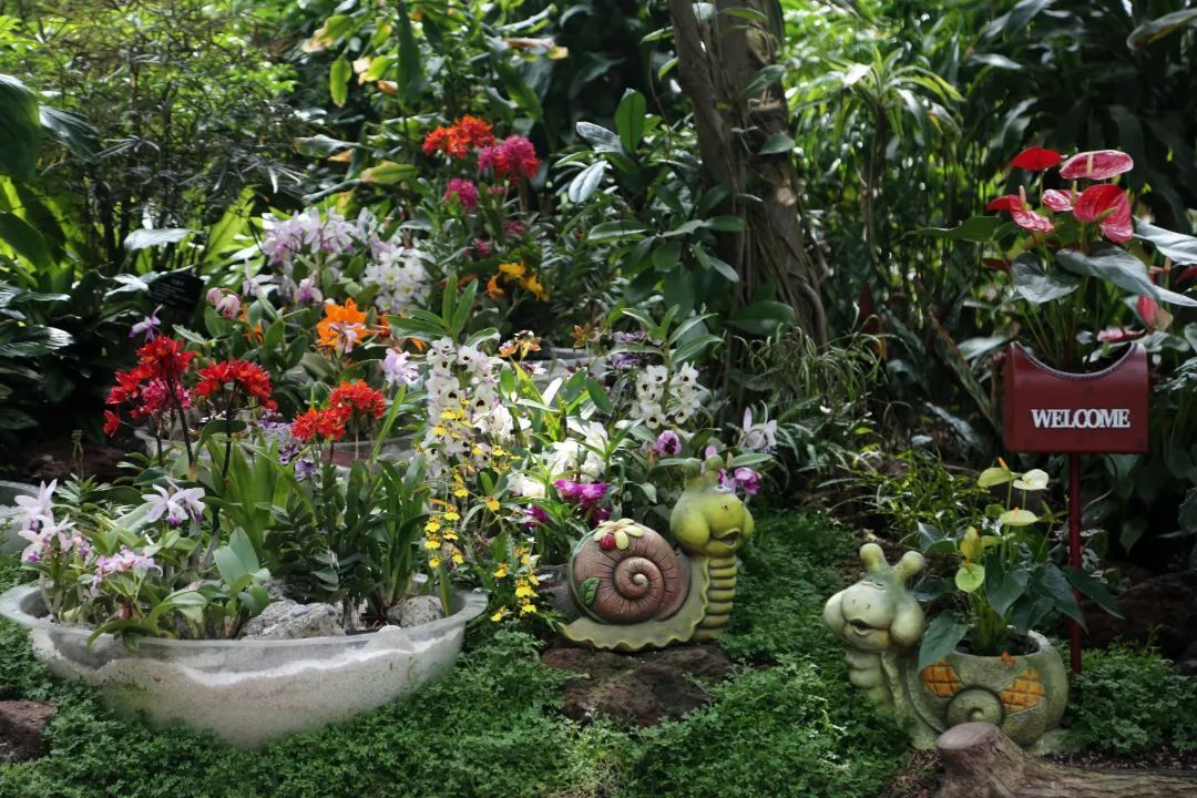 上海园博会在哪儿_上海园博会_上海园博会2010