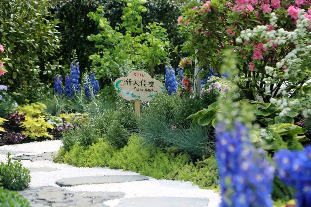 上海园博会_上海园博会在哪儿_上海园博会2010