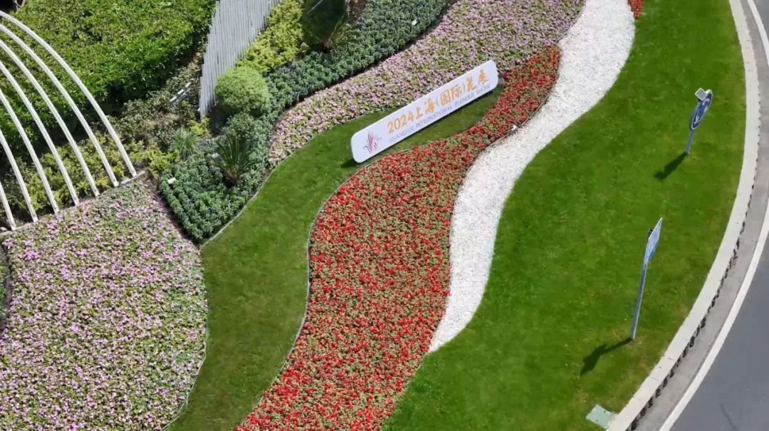 上海园博会在哪儿_上海园博会2010_上海园博会