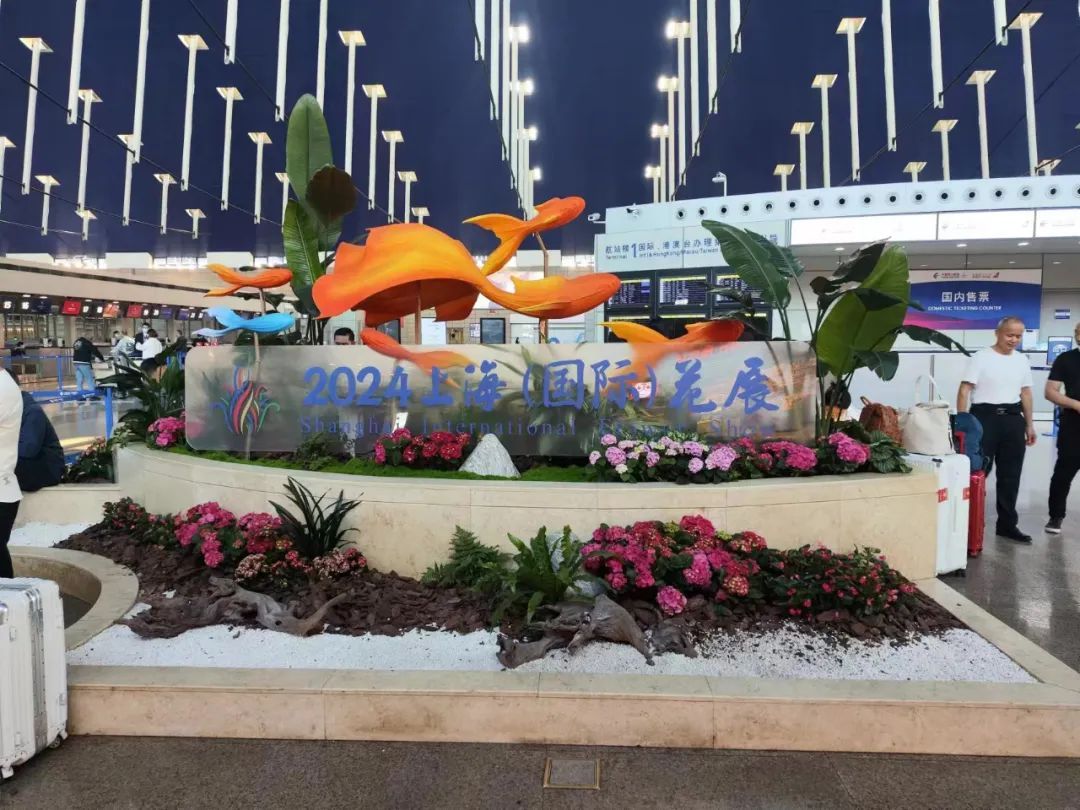 上海园博会在哪儿_上海园博会2010_上海园博会