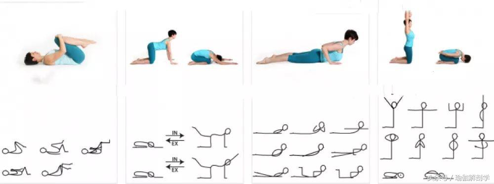 安全瑜伽体式_瑜伽初学者基础体式_瑜伽猫牛单腿伸展变体