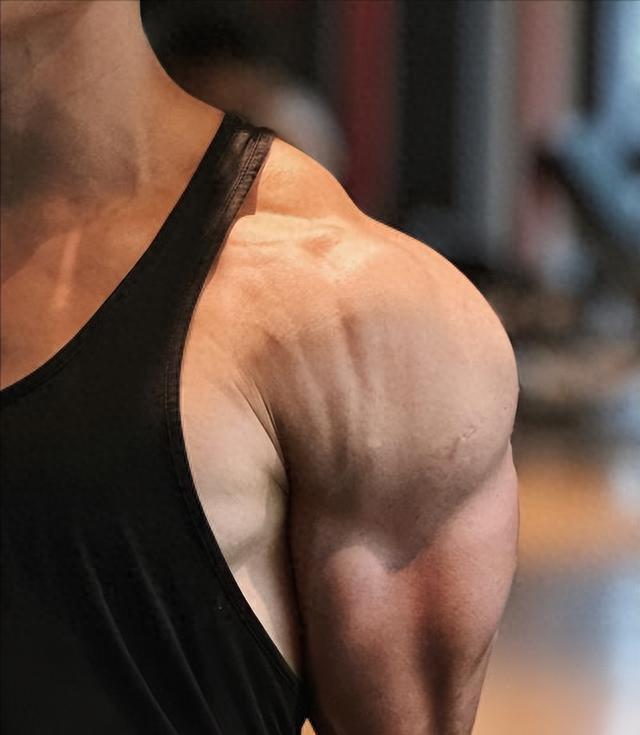 pg赏金女王单机版试玩平台 肌肉是如何生长的如何留住肌肉以下这几点让你的肌肉更强壮_2518