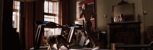 腹肌好用吗_每客腹肌有用吗_腹肌器材怎么使用