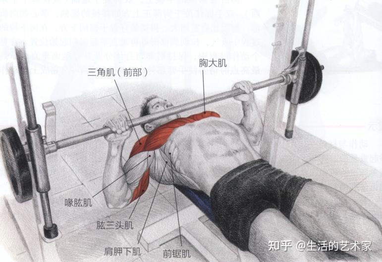 深蹲硬拉卧推变式_练腿大重量低次数_黄金三大项训练