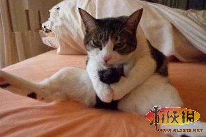 pg网赌软件下载 宅男研究院：打飞机有益身心健康 细数5大好处