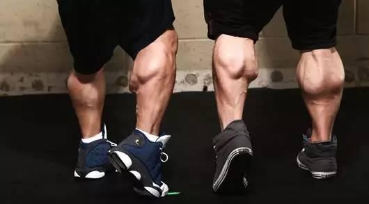 瘦小腿提踵有效果么_小腿提踵会粗腿吗_提踵会让小腿变粗吗