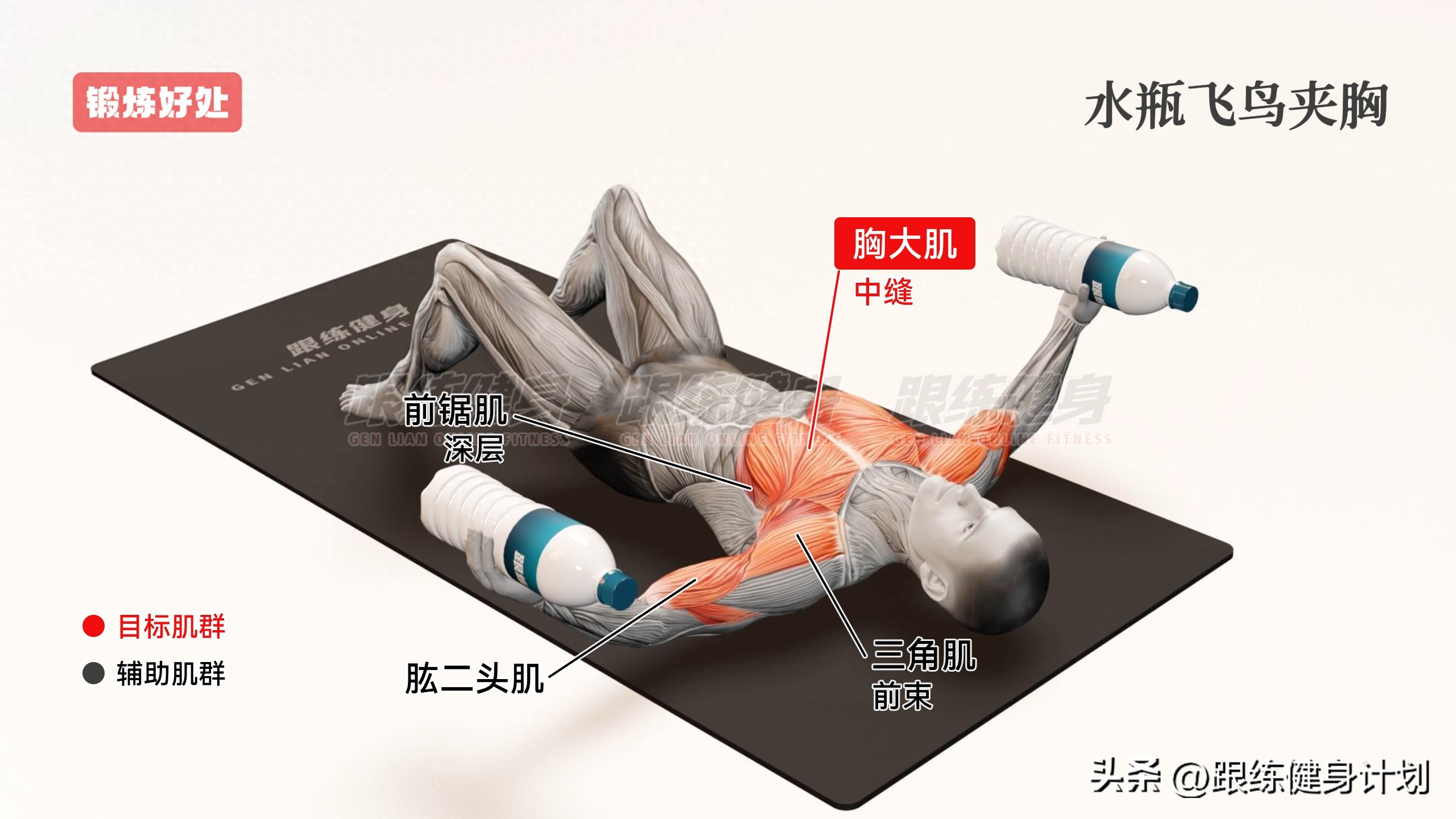 没有健身器怎么练胸肌_水瓶飞鸟夹胸虐胸神技_水瓶代替哑铃飞鸟