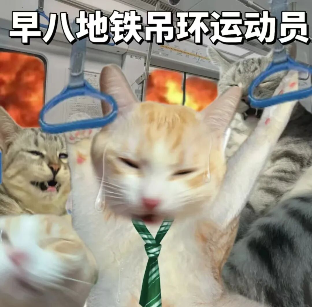 低成本运动方式_体育运动中预防运动损伤意义_运动少的人如何健康长寿