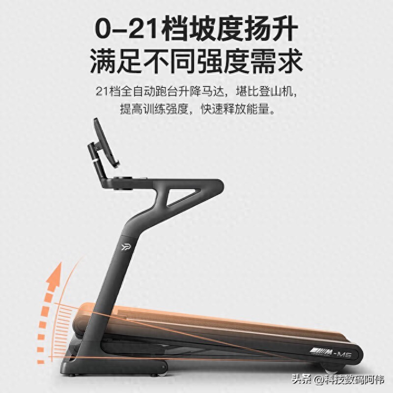 免费qq黄钻网站大全下载 贝德拉和易跑跑步机哪个好？实测：大体重、护膝盖选这款不踩雷