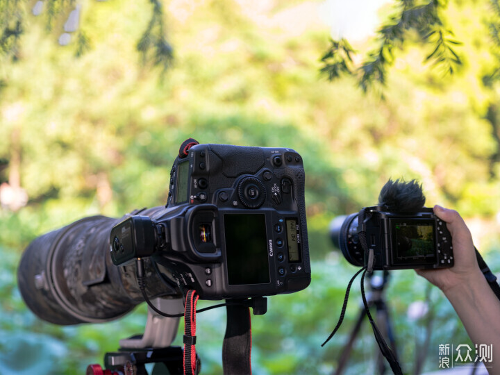 索尼ZV-E1相机体验，选卡、选镜头一文看全_新浪众测