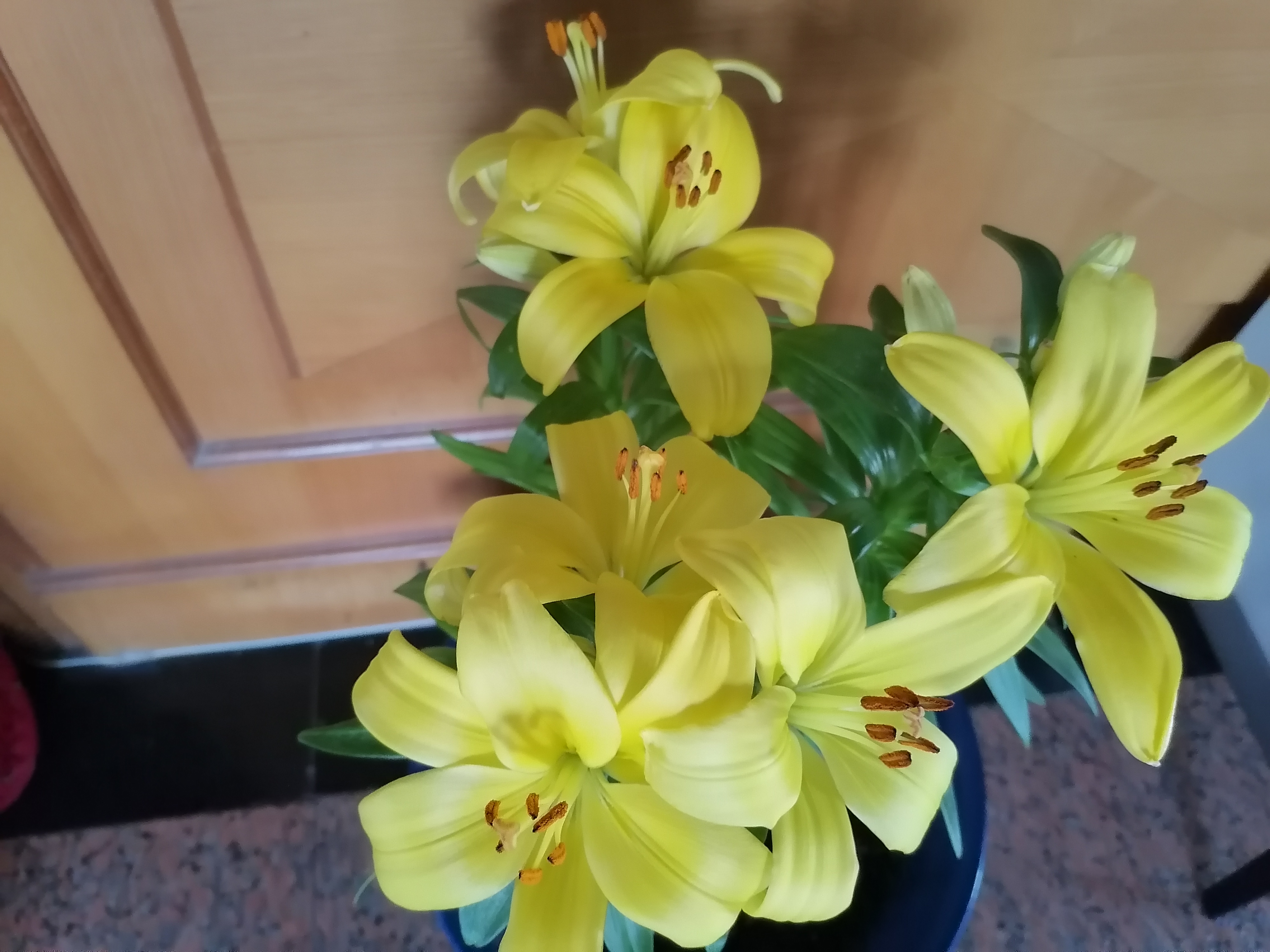 pg赏金大对决试玩版 刘畊宏的本草纲目健身操真的能减肥吗？